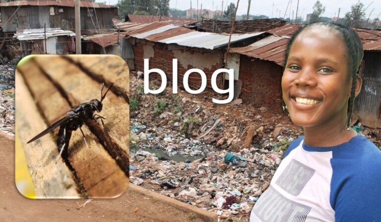 Caren Jobita uses the black Soldirer fly to address organic waste in the Nyalenda slum in Kenya