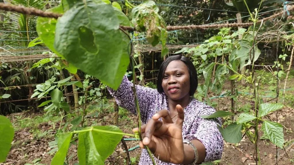 Teopista holding an plant.